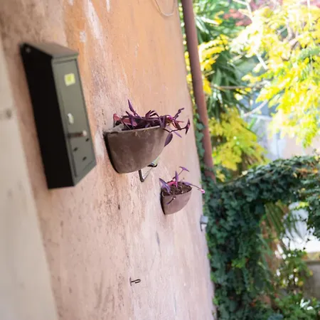 Orlando * Roma